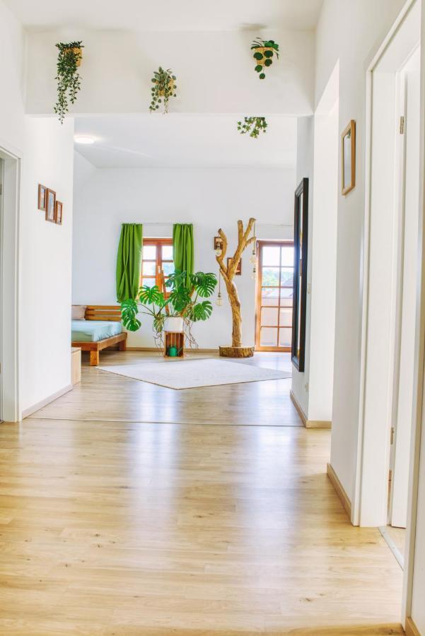 Luxus Apartment! Kueche, Balkon, Netflix, Parkplatz - 8 Personen Ilmmunster Exterior photo